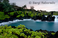 Wai'anapanapa Parc Estatal. Un Lloc coves Amb frondós ports esportius i Penya-segats volcànics. Carretera de Hana. Maui.